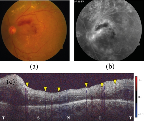 Figure 5.