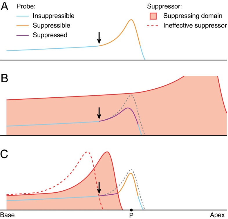 FIG. 12