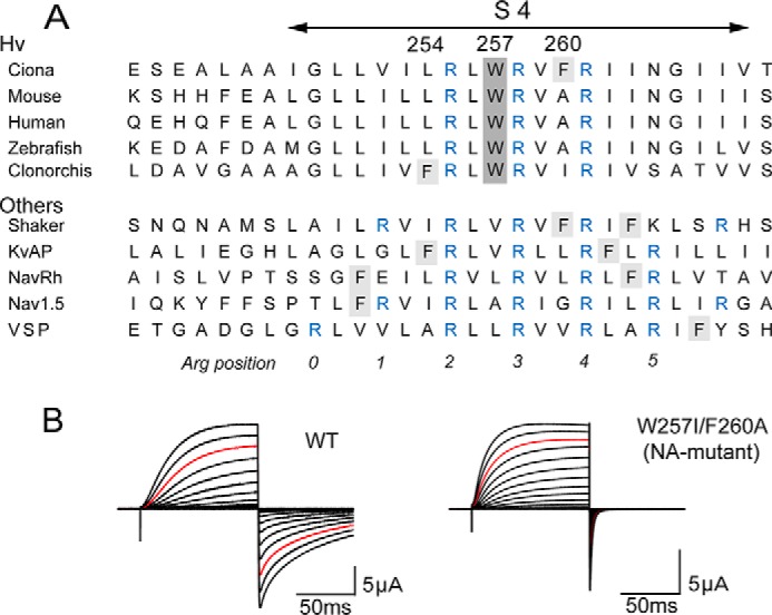 FIGURE 1.