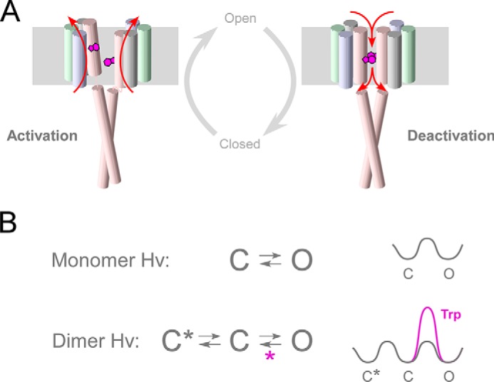 FIGURE 10.