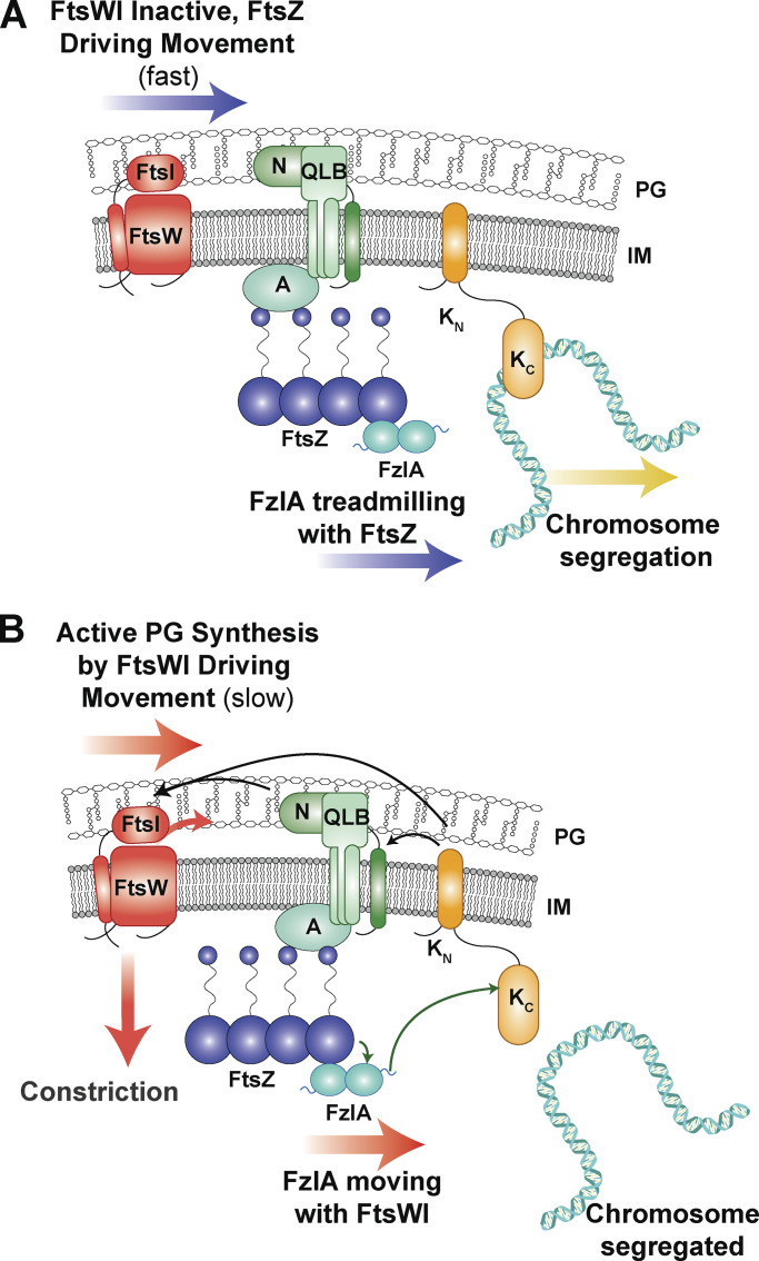 Figure 10.