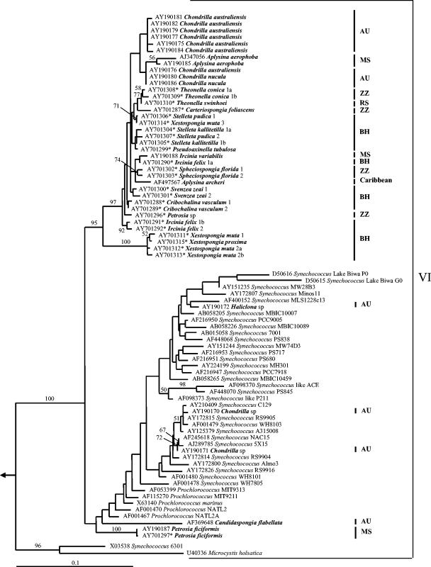 FIG. 2.