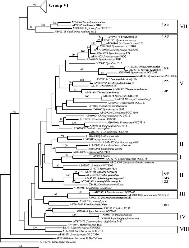 FIG. 1.