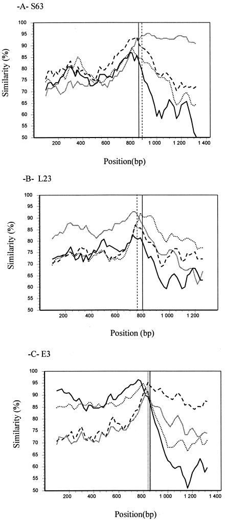 FIG. 2.