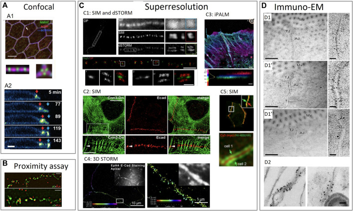 FIGURE 3