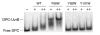 F<sc>igure</sc> 6: