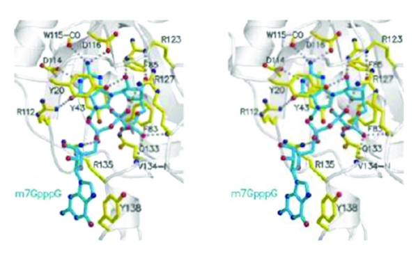 Figure 33