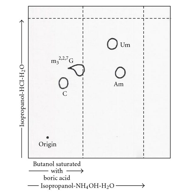 Figure 25