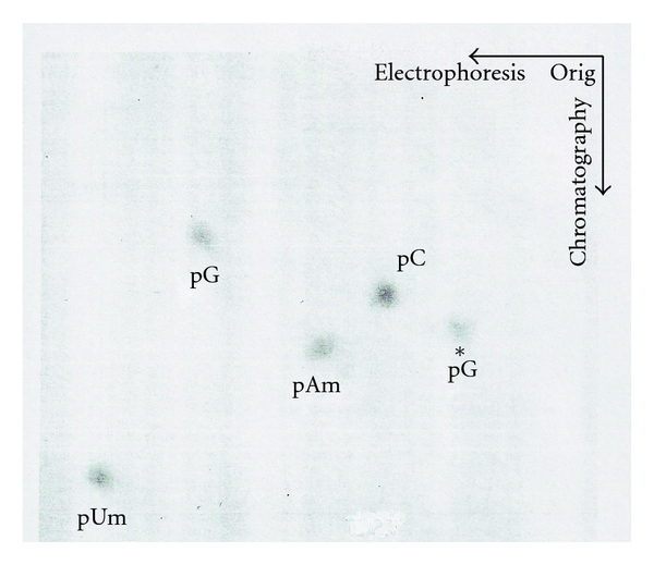 Figure 27