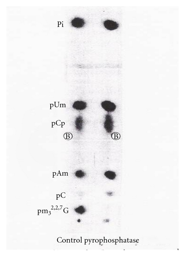 Figure 28