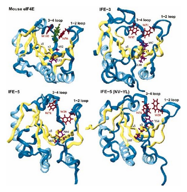 Figure 32