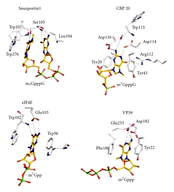 Figure 36