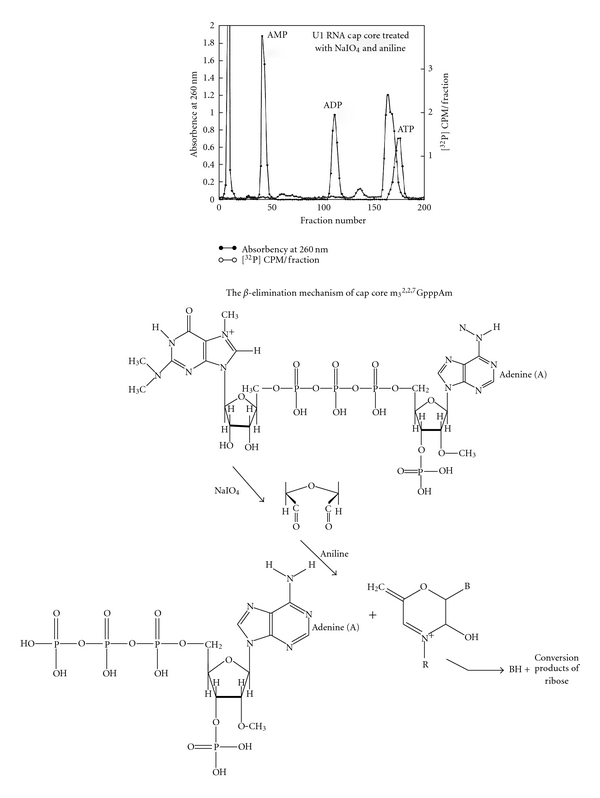 Figure 24