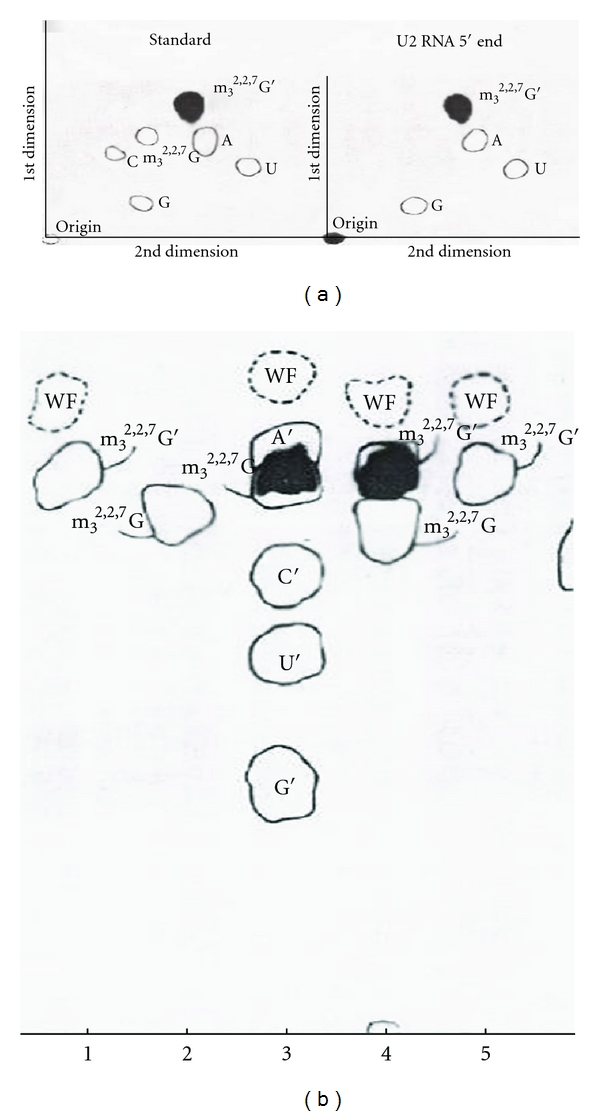 Figure 26