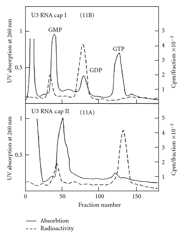 Figure 31