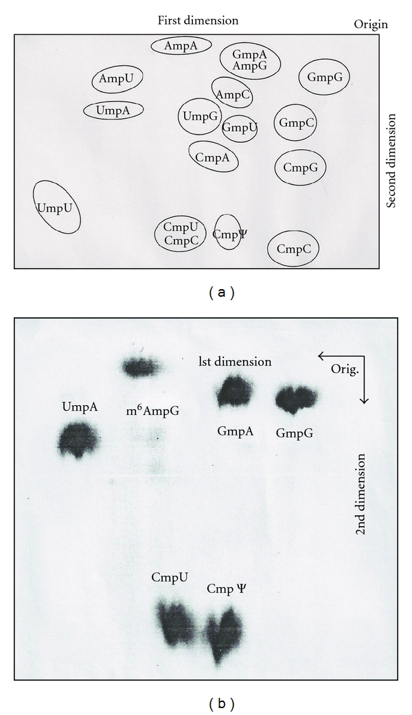 Figure 16