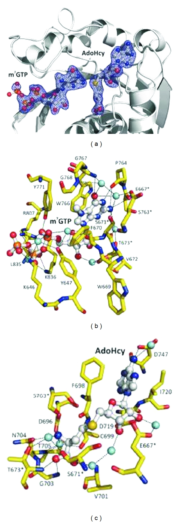 Figure 34