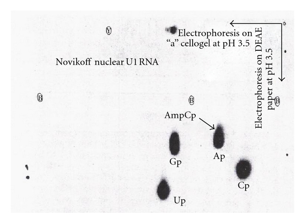 Figure 20