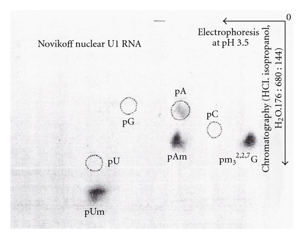 Figure 22