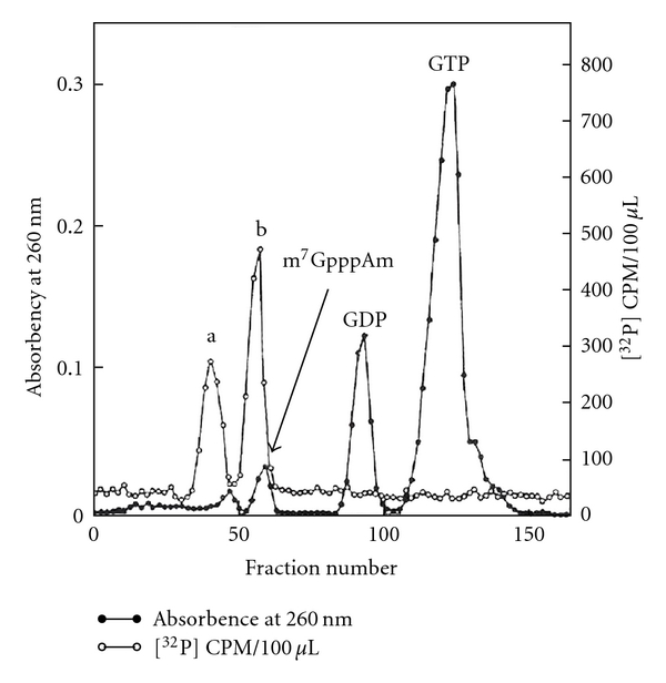 Figure 23