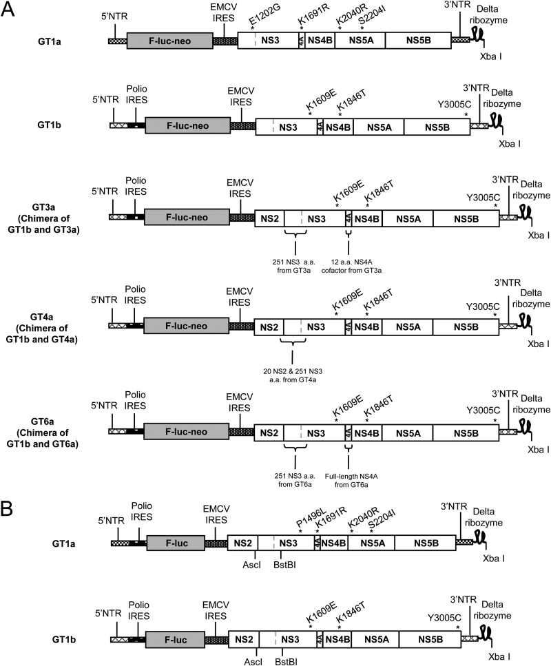 FIG 2