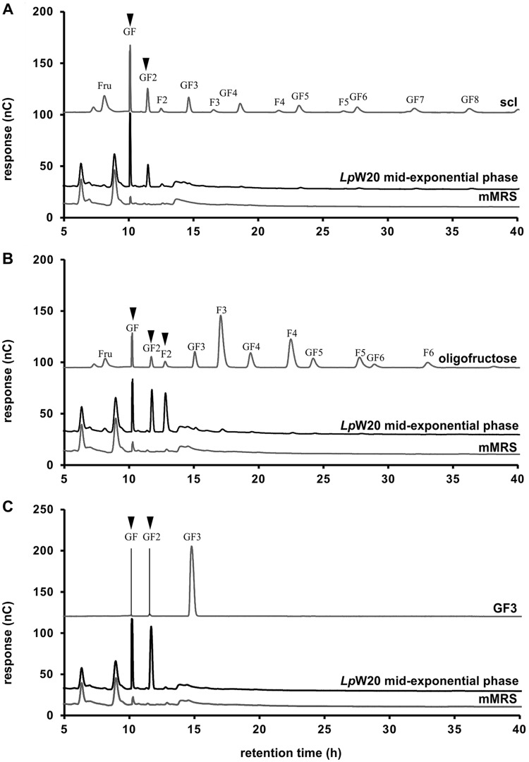 FIG 3