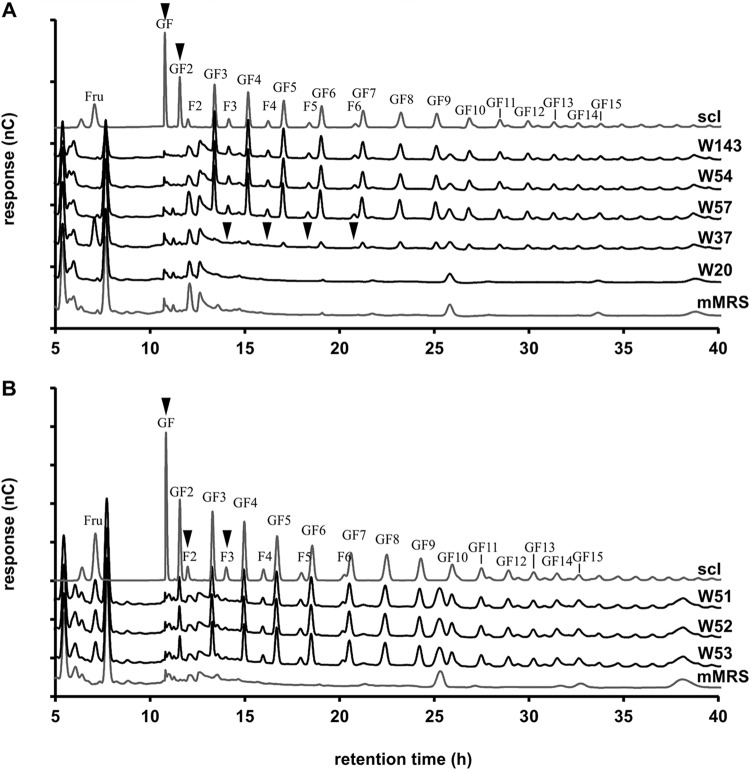 FIG 2