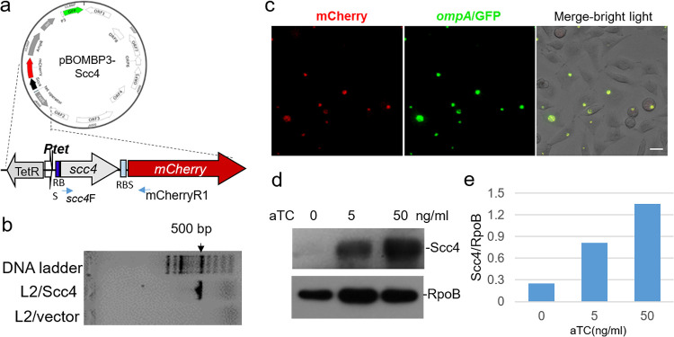 FIG 6