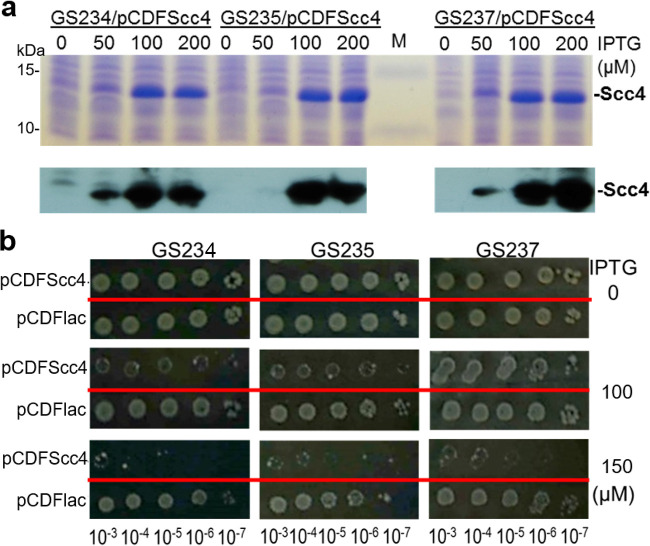 FIG 3