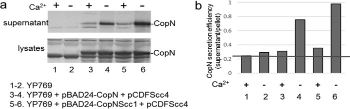 FIG 4