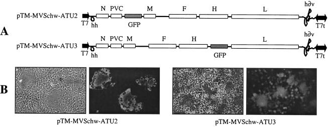 FIG. 8.