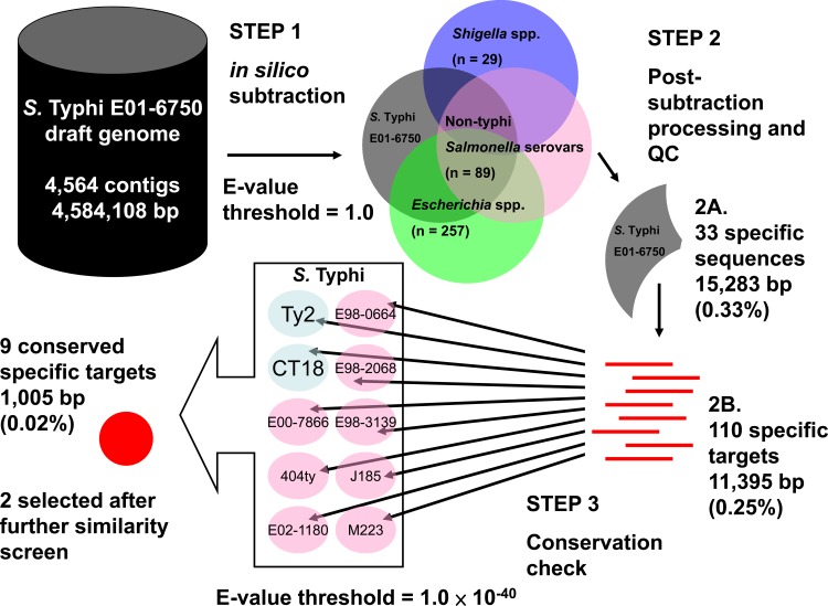 Fig 1