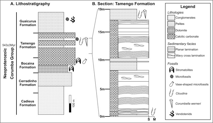 Fig 2