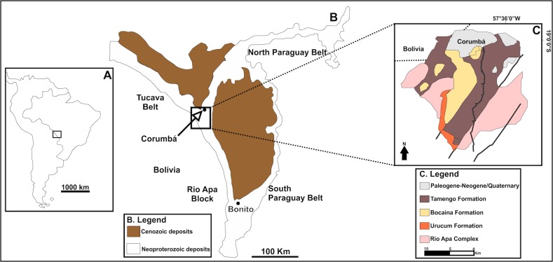 Fig 1