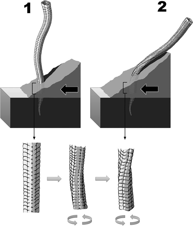 Fig 9