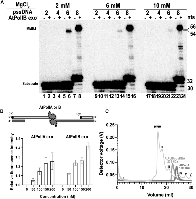 Figure 4.