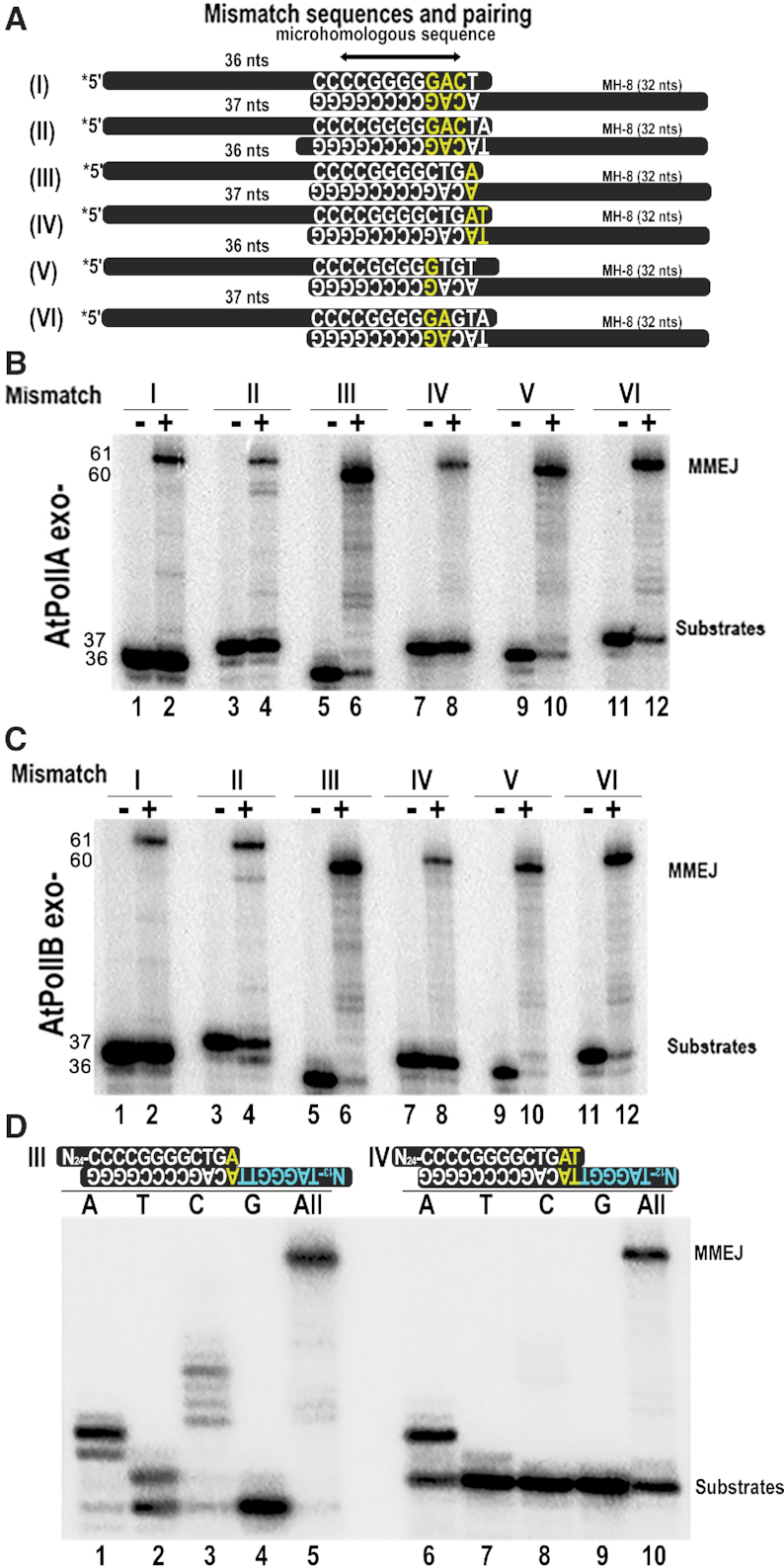 Figure 6.