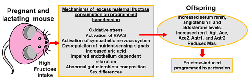 Fig 1.