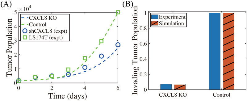 Fig 10