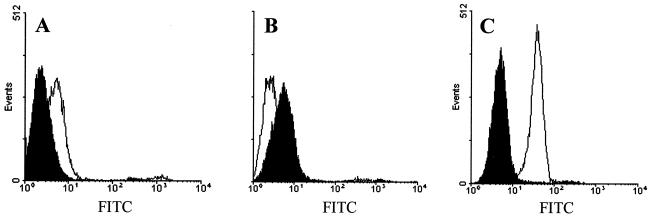 FIG. 1