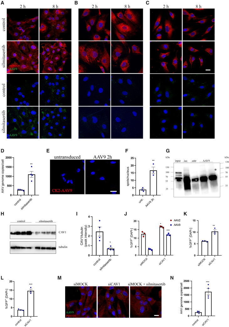 Figure 2