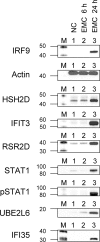 FIG. 5.