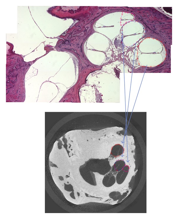 Figure 6