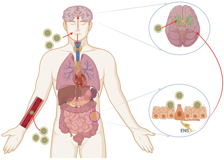 Fig. 1