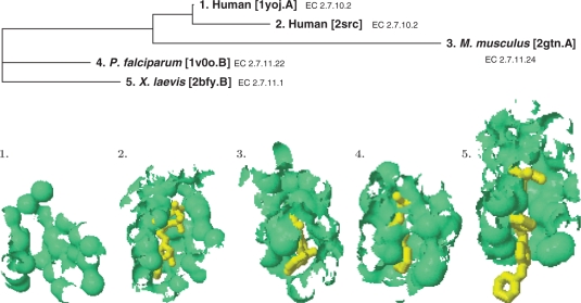 Figure 4.