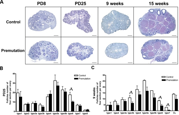 Figure 2.