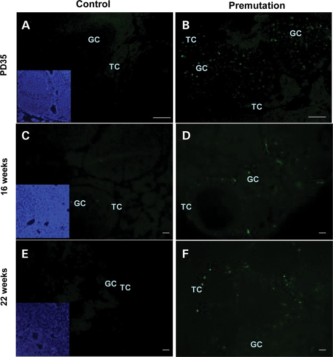 Figure 4.