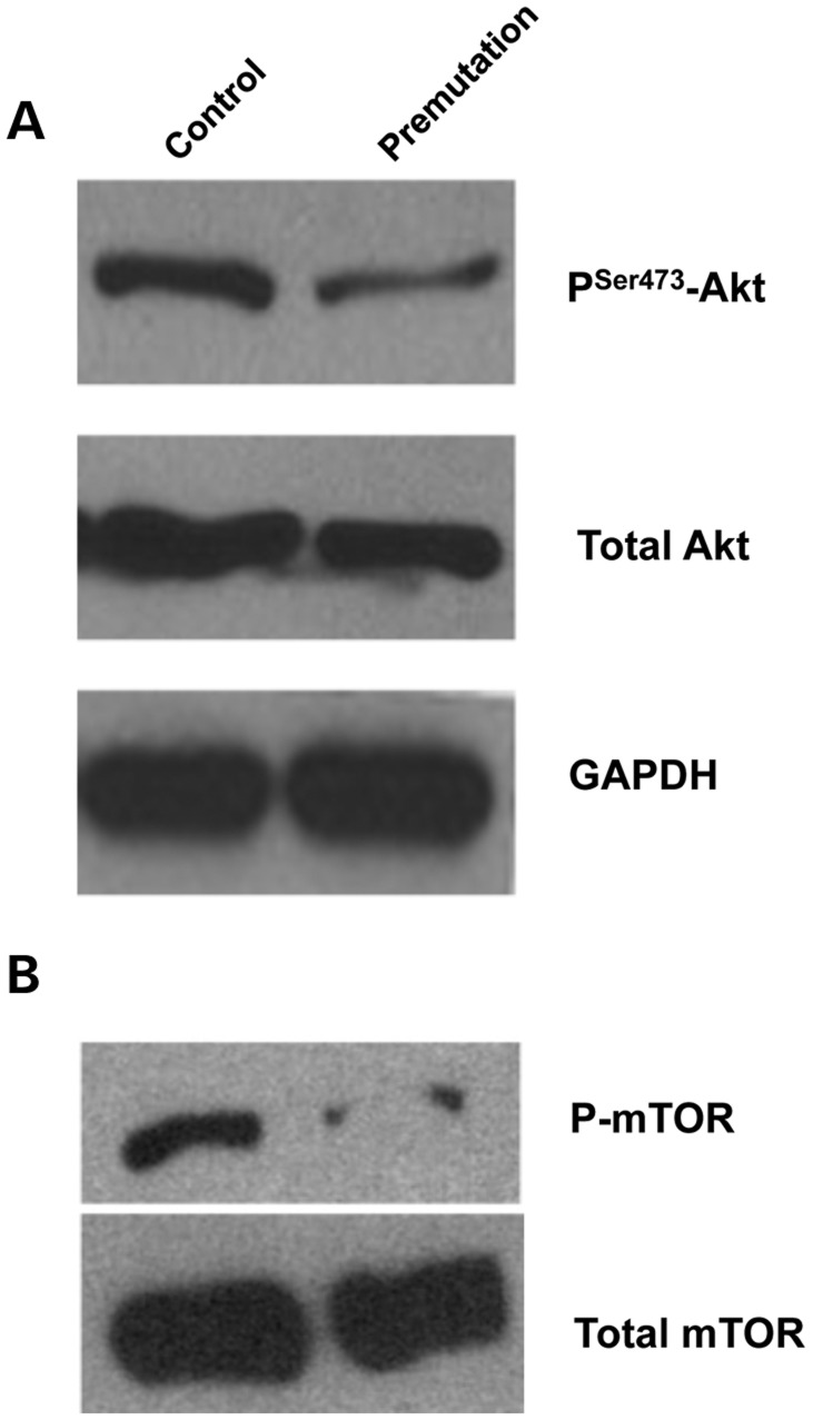 Figure 6.