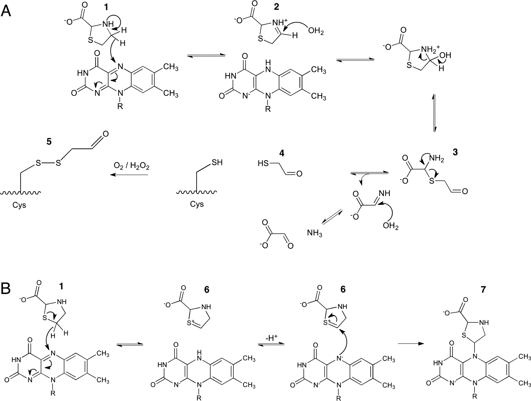 Scheme 3.