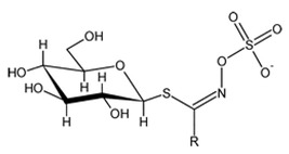 graphic file with name nutrients-15-01424-i001.jpg